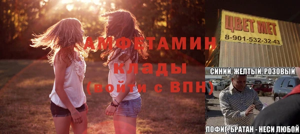 ГАЛЛЮЦИНОГЕННЫЕ ГРИБЫ Алзамай