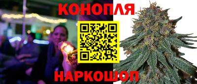 a pvp Свободный