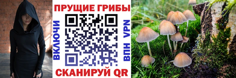 купить наркотик  Новошахтинск  ОМГ ОМГ вход  Галлюциногенные грибы прущие грибы 