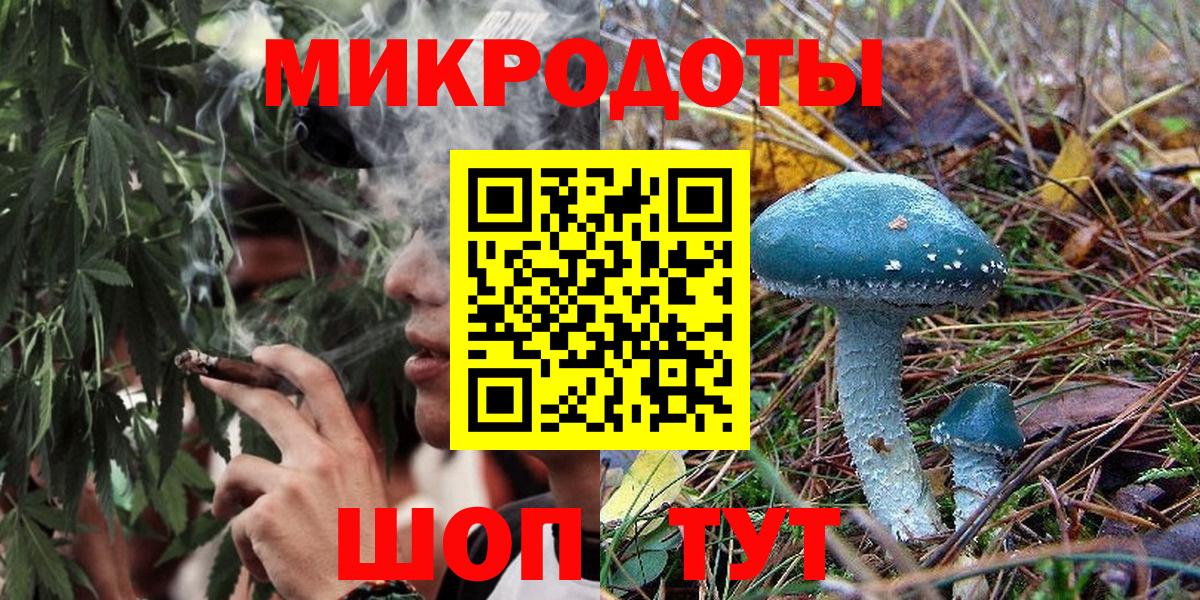 Галлюциногенные грибы Cubensis  Вход с VPN  Новошахтинск 